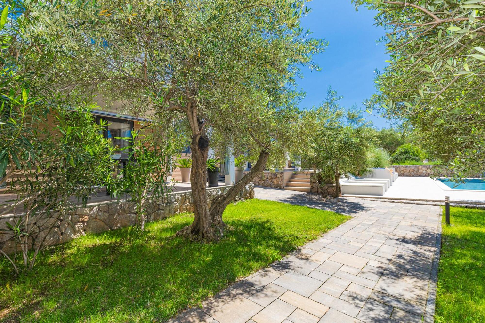 Oliveto Residence Bungalows - Adults Only Punat Extérieur photo